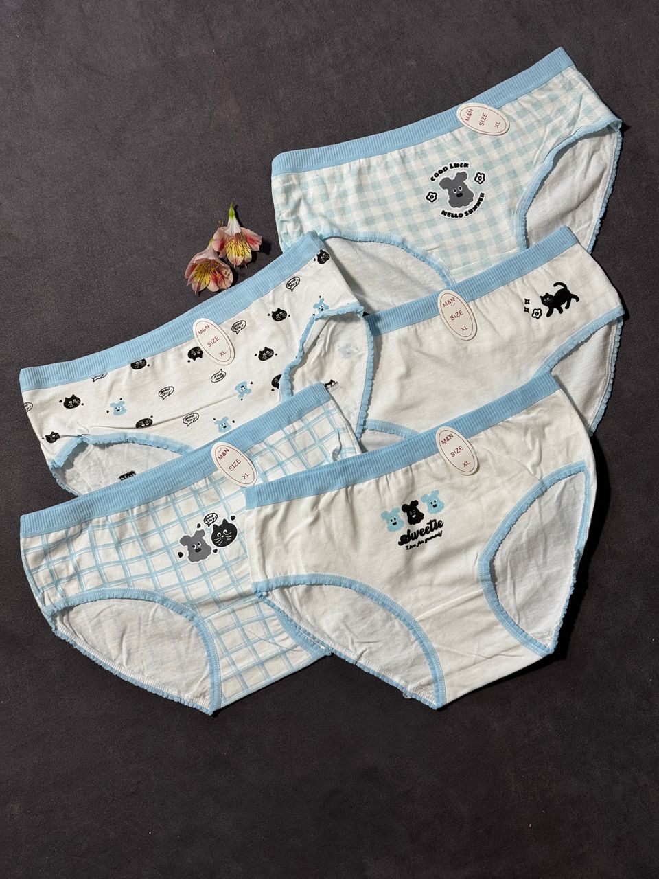 پک 5 عددی شورت